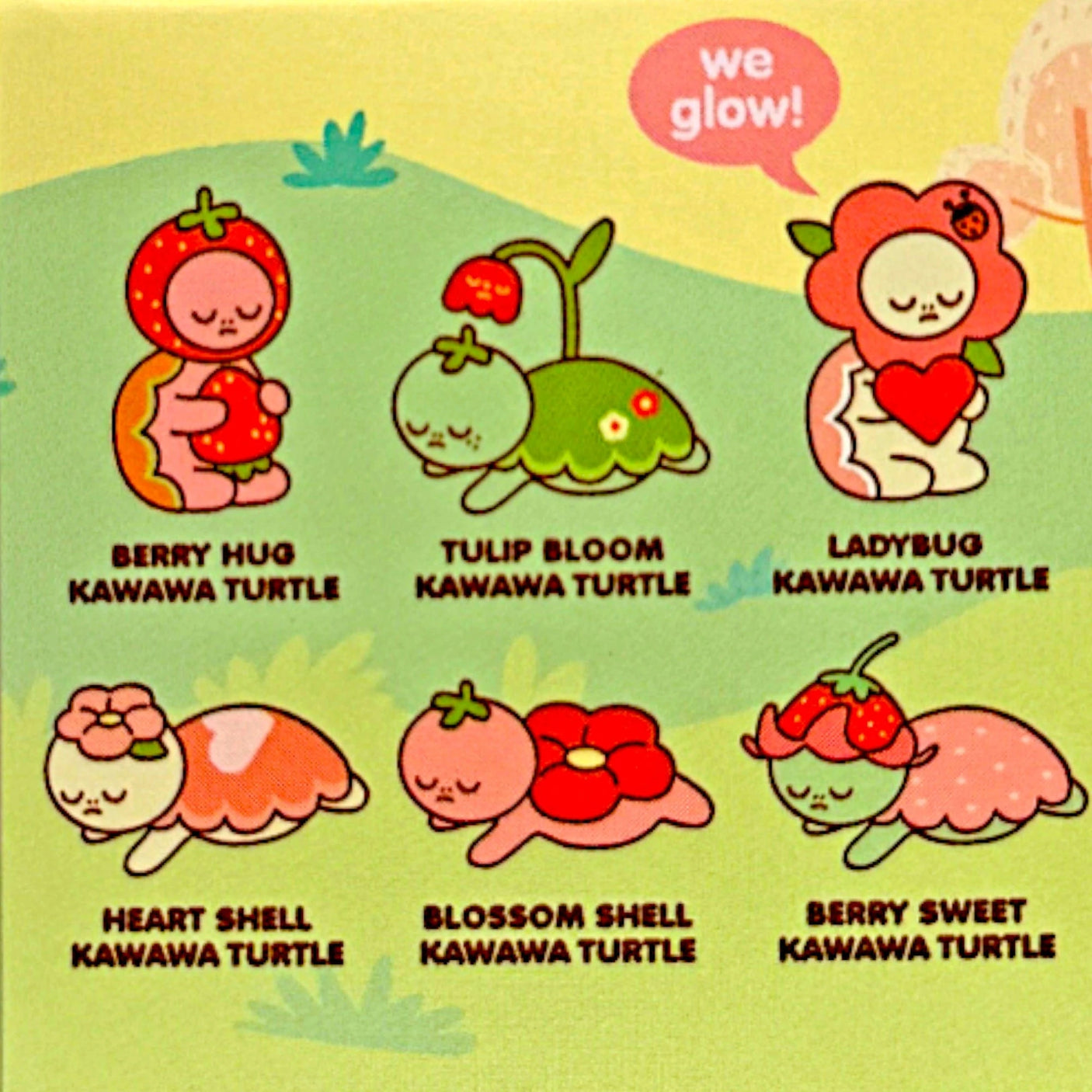 Collection card showing six turtle character designs and names