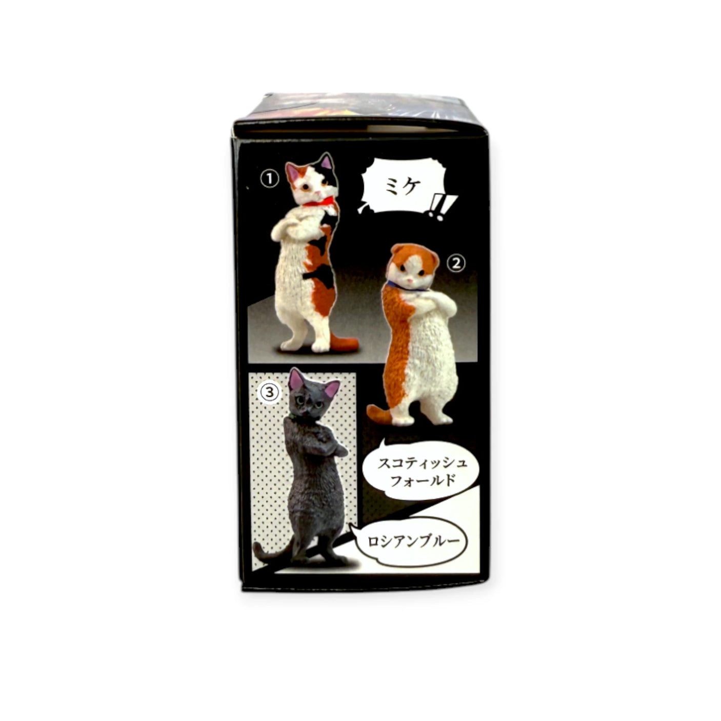 Zun!! Cat-titude Blind Box