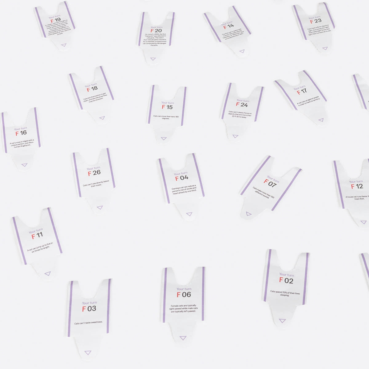 Another Me - 100 Daily Curious Cat Facts