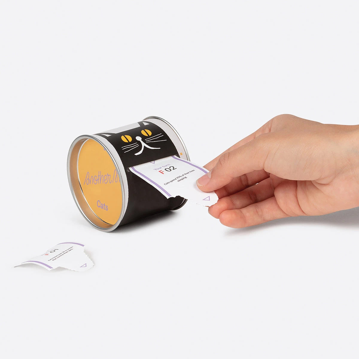 Another Me - 100 Daily Curious Cat Facts