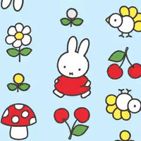 Miffy x Baggu