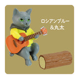 Campfire Cats Blind Box