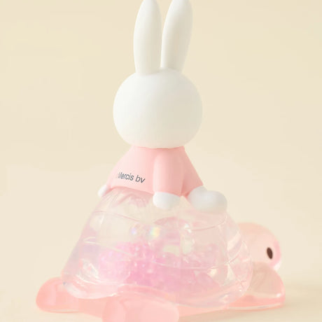 Miffy & Turtle Series Blind Box