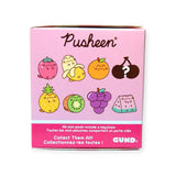 Discover the Pusheen Blind Box - Fruits Series: This charming pink package showcases lovable, fruit-themed Pusheen characters such as strawberry, lemon, and orange. Each box contains a surprise mystery character and includes text in English and French. Ideal for mini plush collectors!