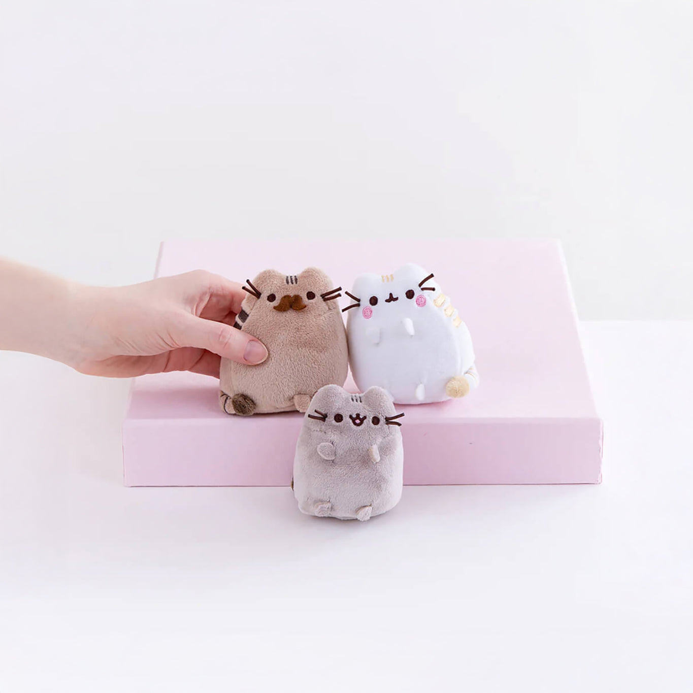 Pusheen Plush - Family Gathering Gift Set