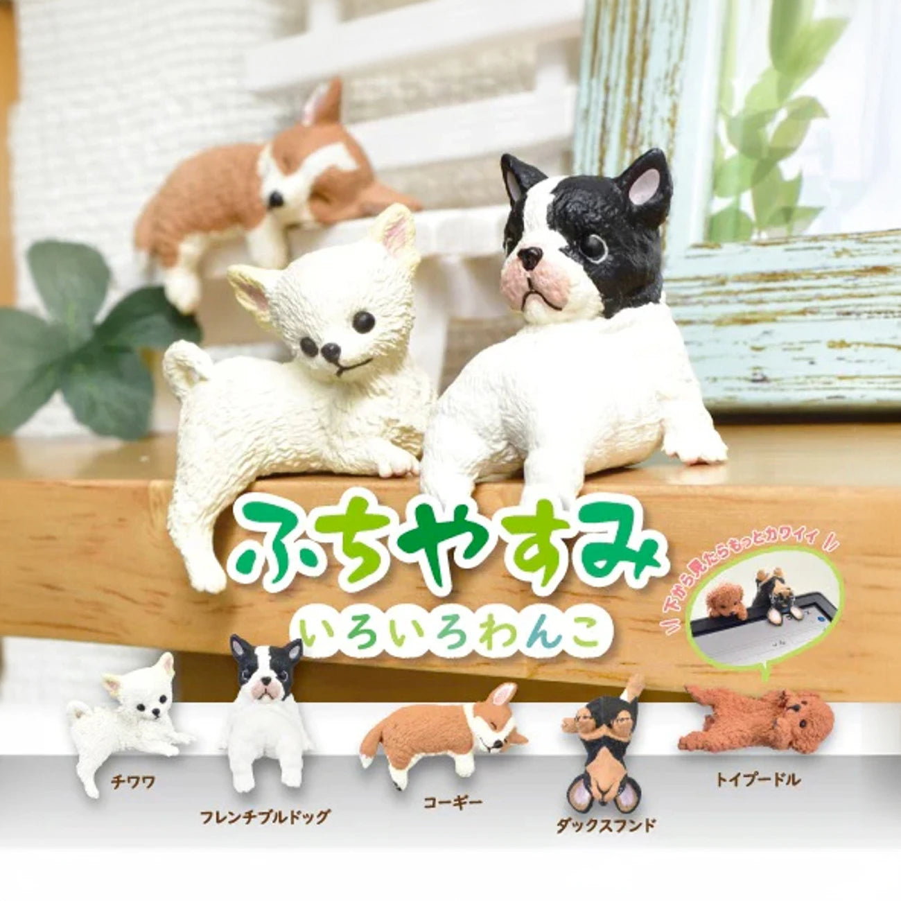 The charming desk companions comprising small figurines of various dog breeds such as Chihuahua, French Bulldog, Corgi, Dachshund, and Toy Poodle are from the Dog Resting on Edge Blind Box by the brand Yell. A blend of Japanese text and a photograph adds cultural flair in the background.