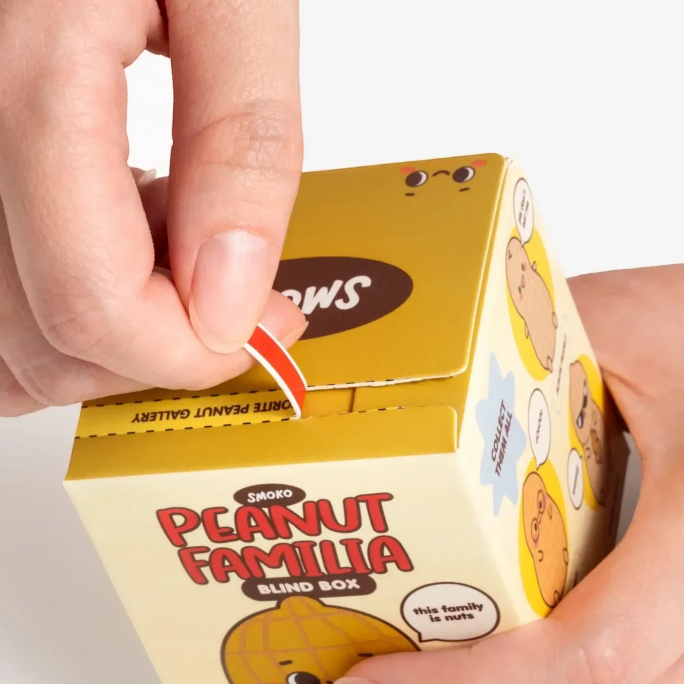 Smoko Peanut Familia Blind Box