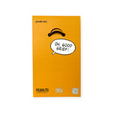 Snoopy & Woodstock Doghouse Keychain