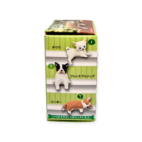 The "Dog Resting on Edge Blind Box" by Yell includes three charming dog figurines: a Chihuahua, French Bulldog, and Corgi. Ideal for your desk, these adorable dogs are designed to perch on the edge of their display. Each figurine is a delightful surprise, packaged in a blind box adorned with charming Japanese text.