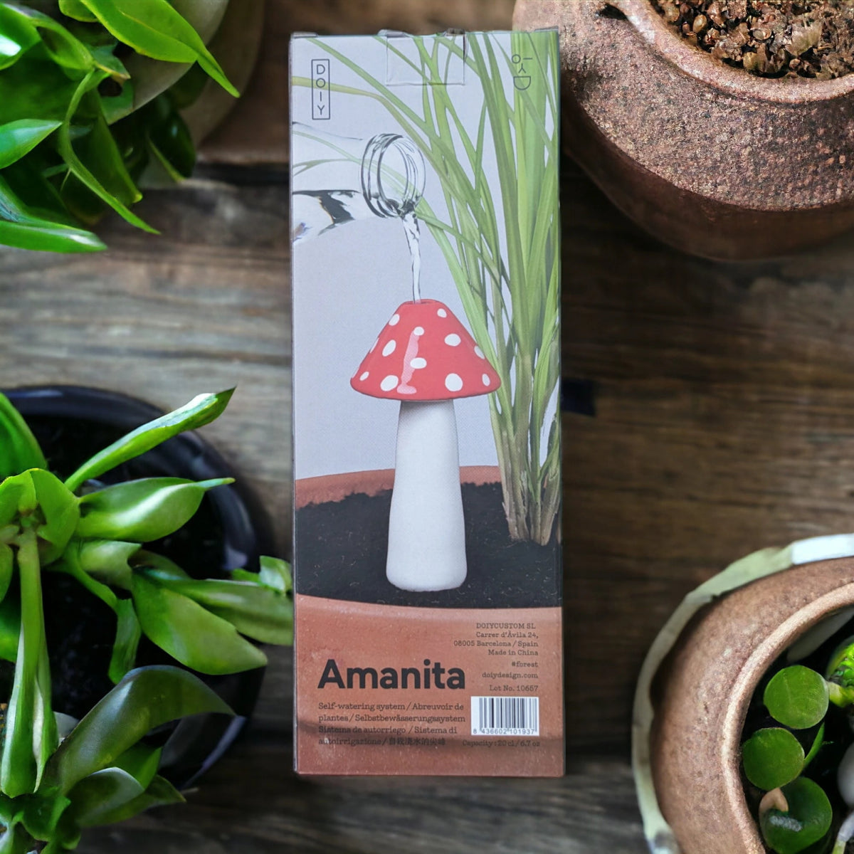 Amanita Self-Watering System for plants - Blink Box